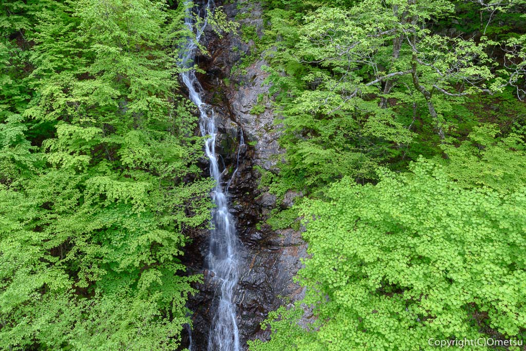 東京都・檜原都民の森・三頭大滝