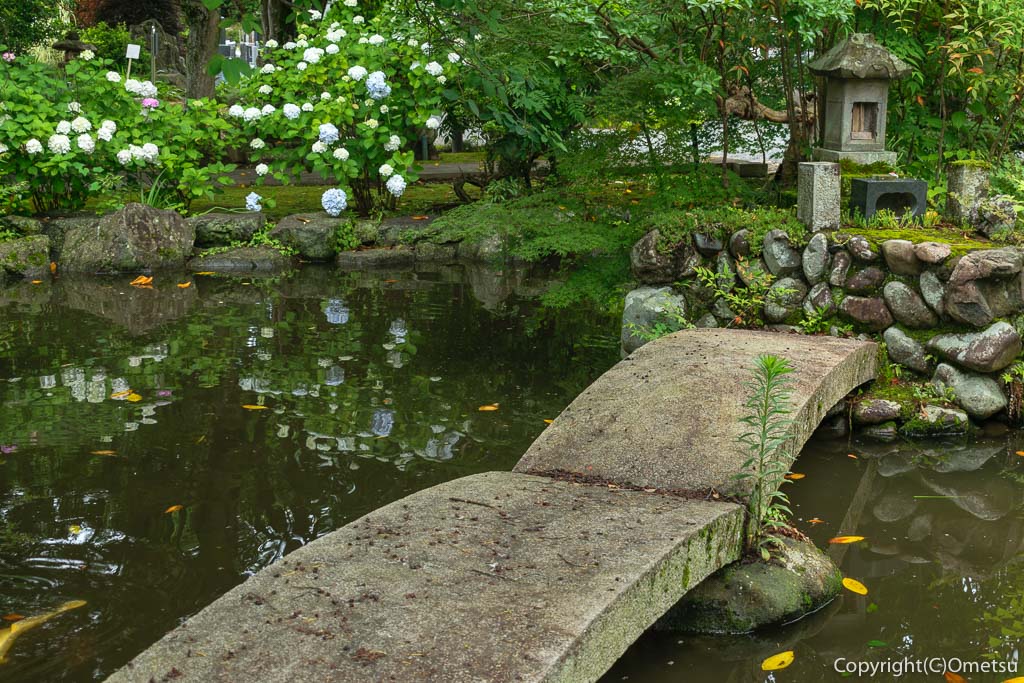 あきる野市・雨間の地蔵院の、日本庭園の池