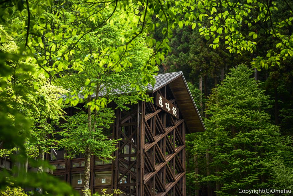 東京都・檜原都民の森・森林館