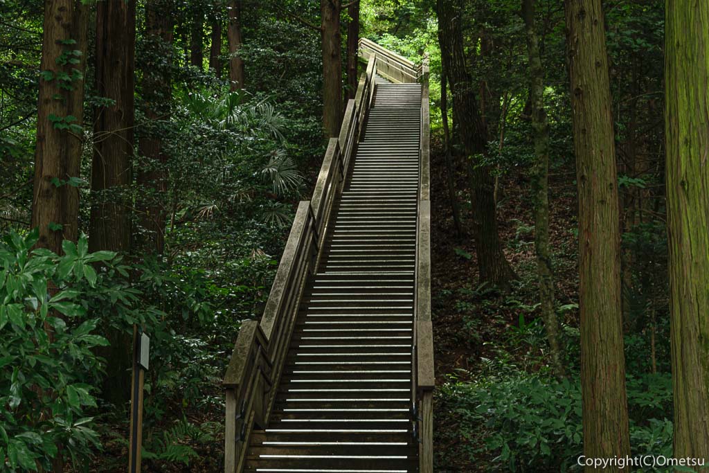 瑞穂町 都立野山北・六道山公園の、浅間神社・富士山階段