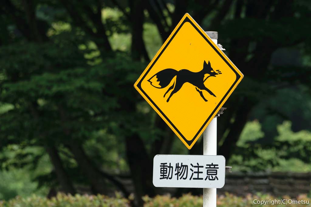瑞穂町 都立野山北・六道山公園近くの「動物注意」道路標識