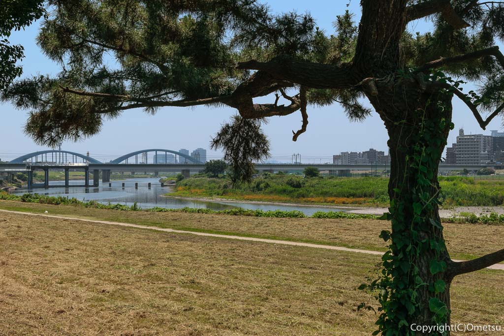 多摩川サイクリングロード・大田区・丸子橋