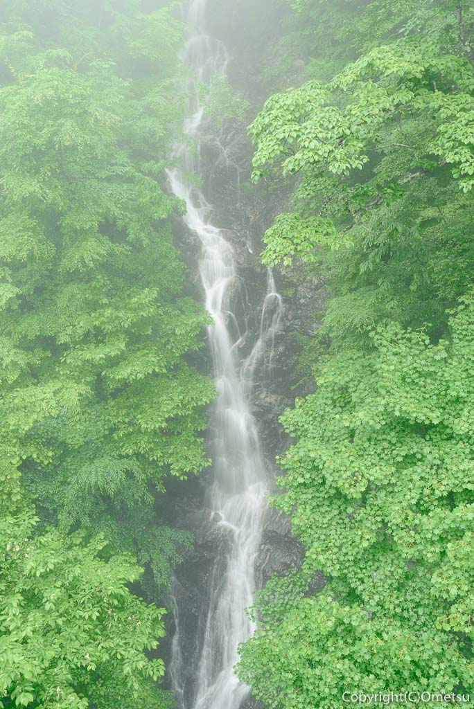 檜原村・都民の森、梅雨の、三頭大滝