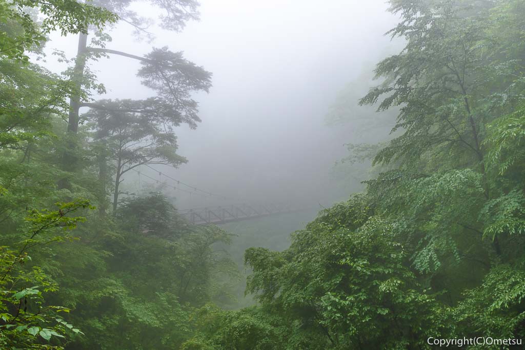 東京都・檜原都民の森の、滝見橋