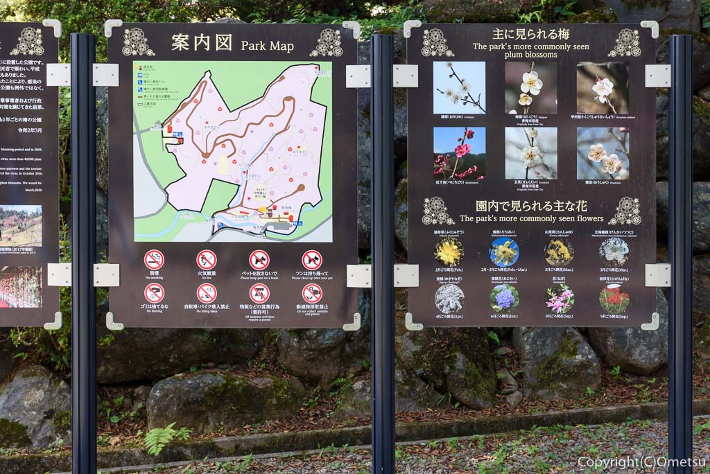 青梅市・吉野梅郷「梅の公園」案内図