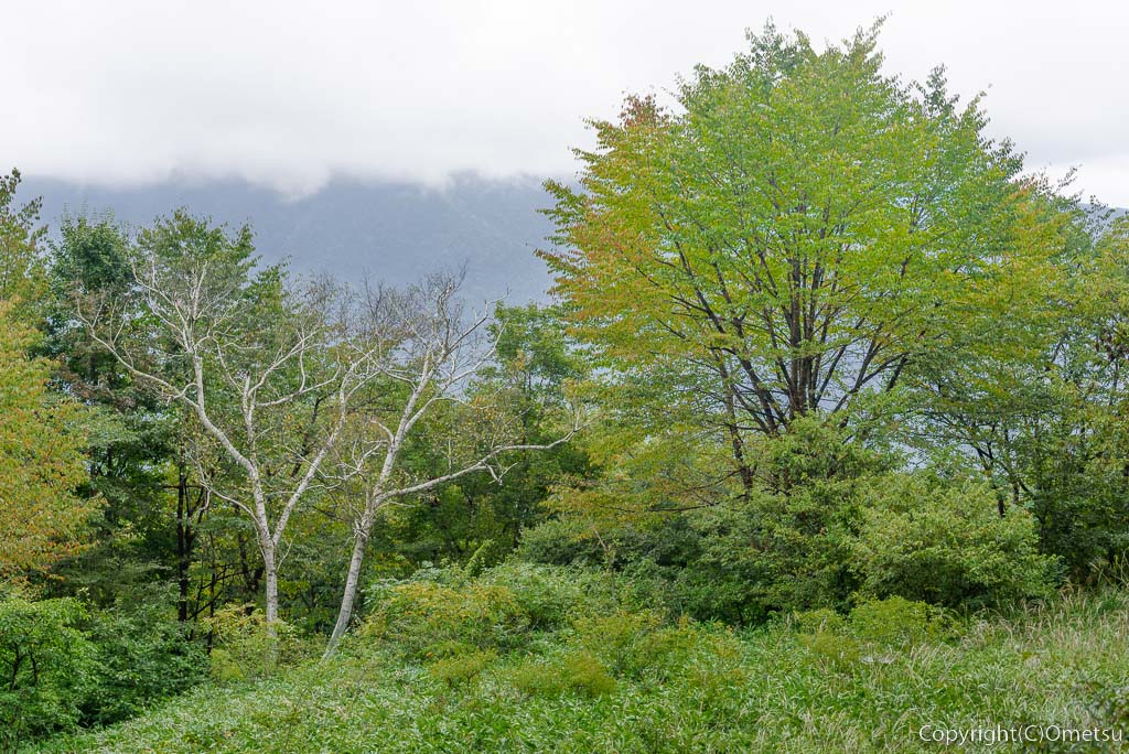 東京都・檜原村の、浅間嶺・富士浅間大神からの展望
