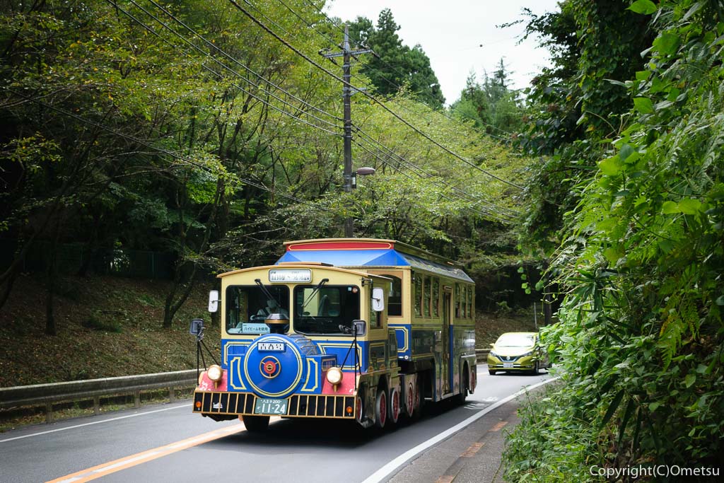 西東京バス・つるつる温泉 路線の、機関車バス