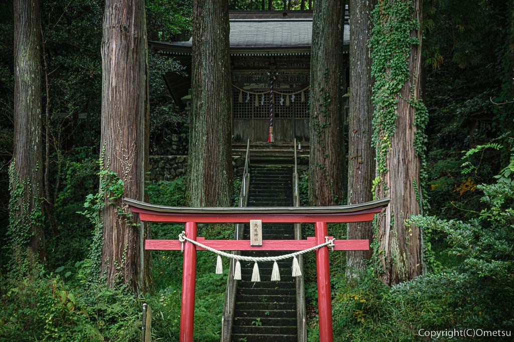あきる野市・高尾神社の森