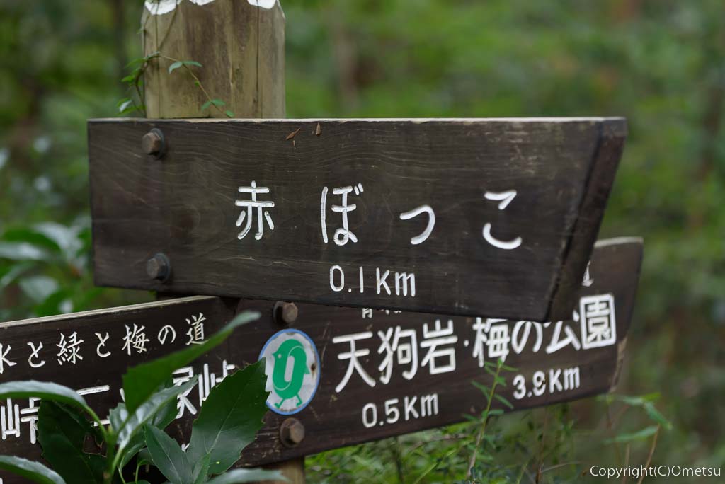 青梅市・長渕丘陵ハイキングコースの、赤ぼっこ・分岐の道標