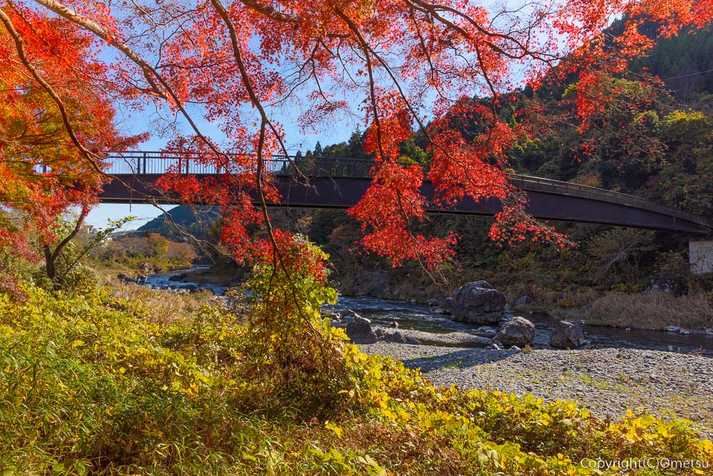 青梅市・御岳渓谷遊歩道の、鵜の瀬橋と、紅葉