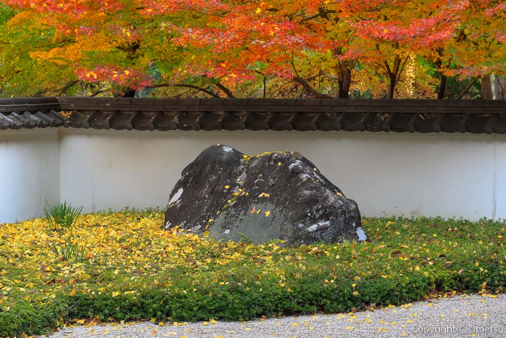 青梅市・御岳の、玉堂美術館・枯山水の日本庭園と、紅葉
