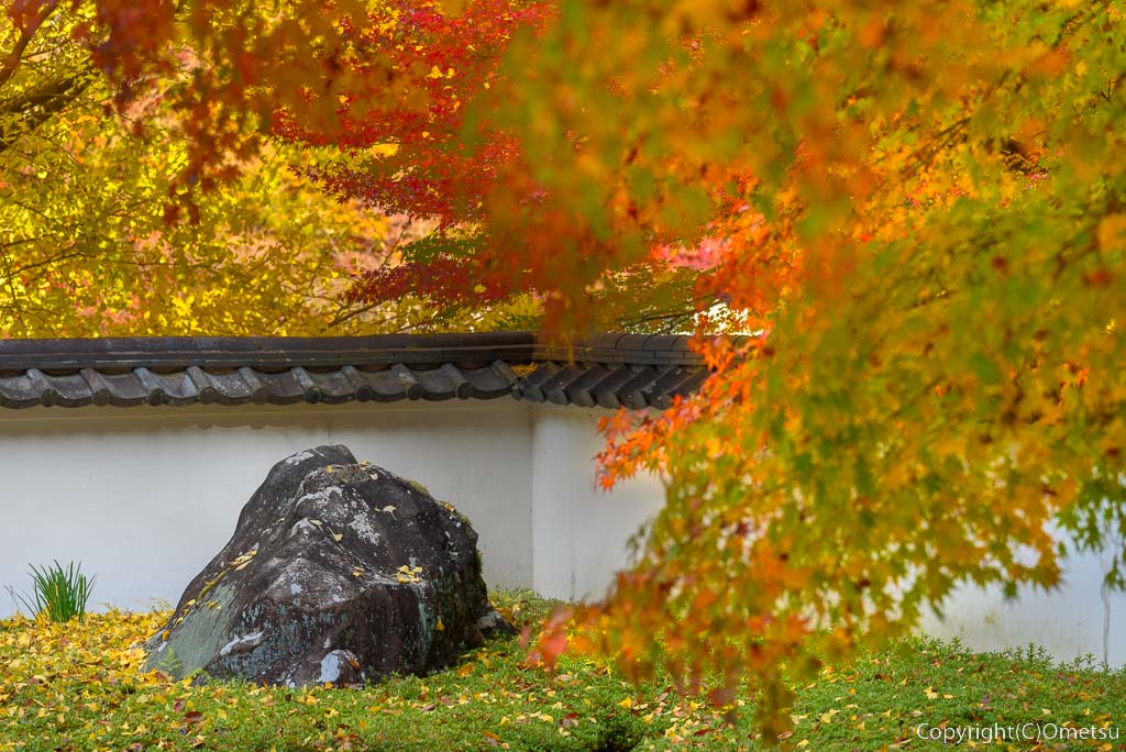青梅市・御岳の、玉堂美術館・枯山水の日本庭園の、庭石と紅葉
