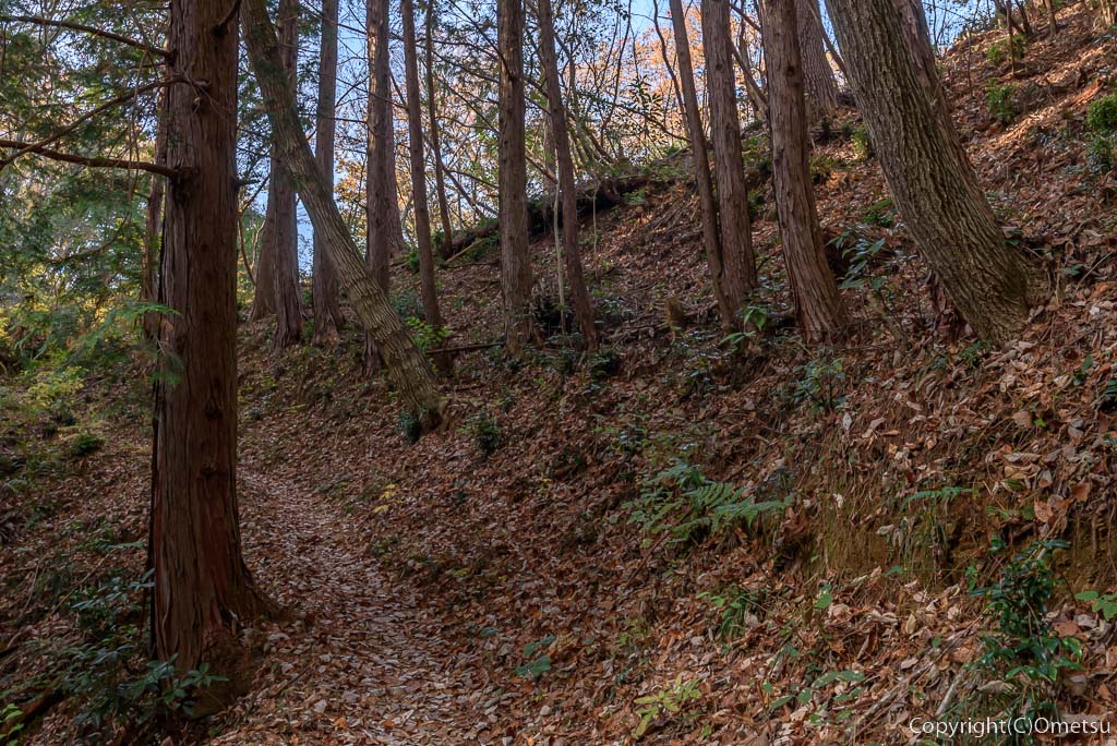 青梅の森・おにぎり岩・付近の登山道