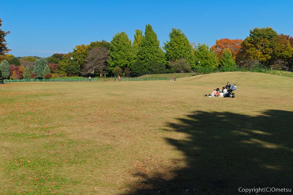 東京都あきる野市・都立秋留台公園の、芝生広場