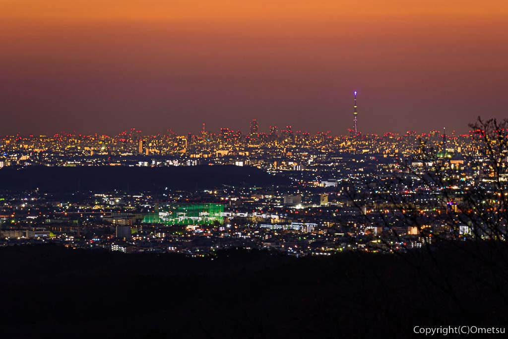 青梅市・長渕丘陵「赤ぼっこ」から、都心方面の夜景のスカイツリー