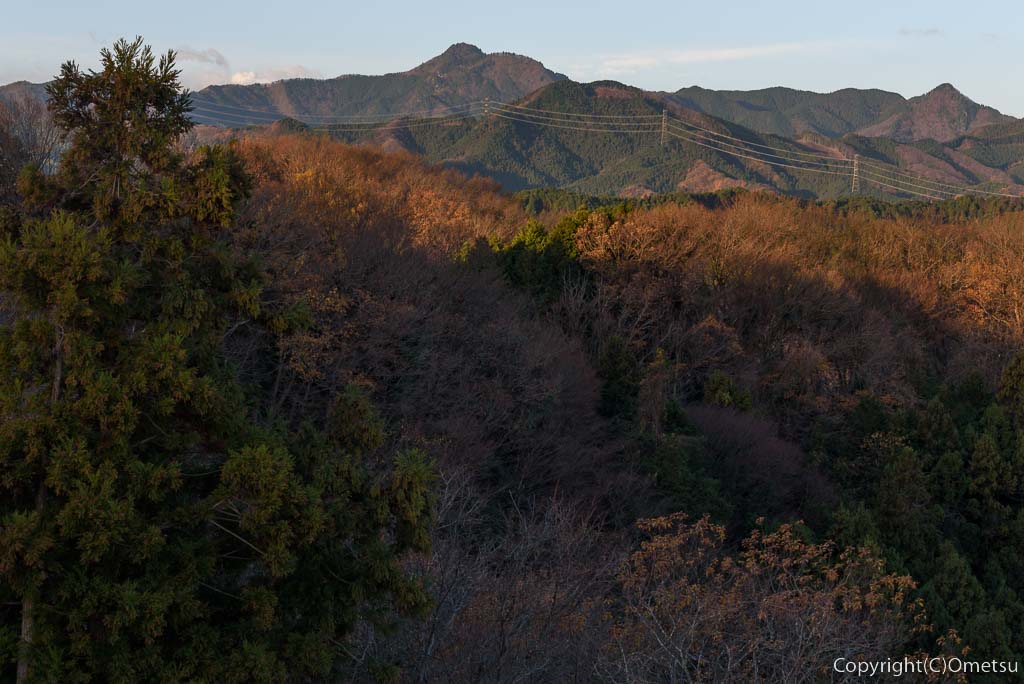 青梅市・長渕丘陵「赤ぼっこ」からの、朝の大岳山
