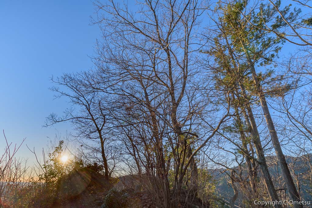 あきる野市、戸倉城山・山頂の朝日と、木々