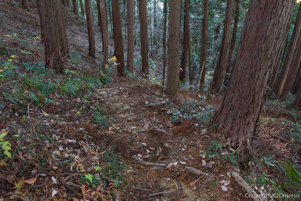 あきる野市、戸倉城山・神明神社・登山道の、急登