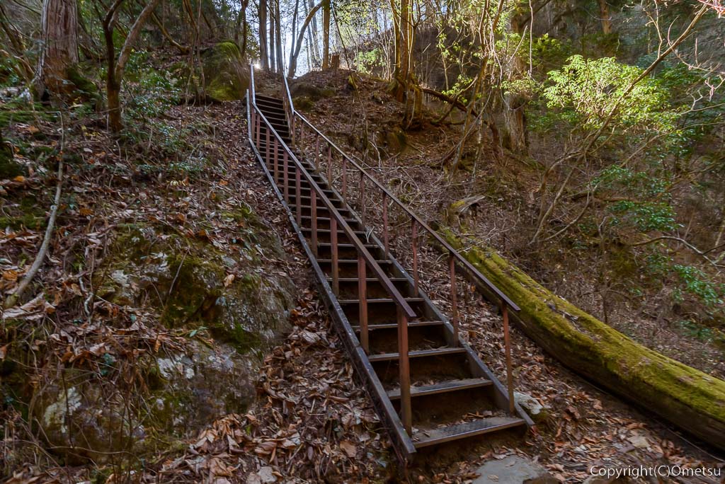 青梅市・御岳山、七代の滝への下りの、鉄はしご