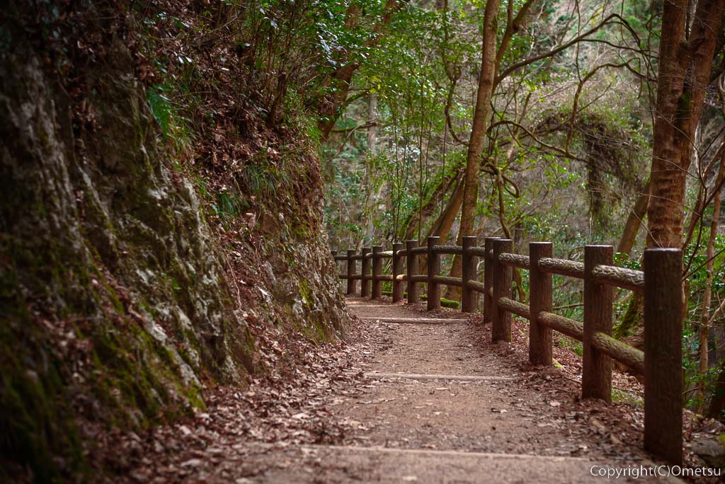 東京都・檜原村・払沢の滝近くの、遊歩道