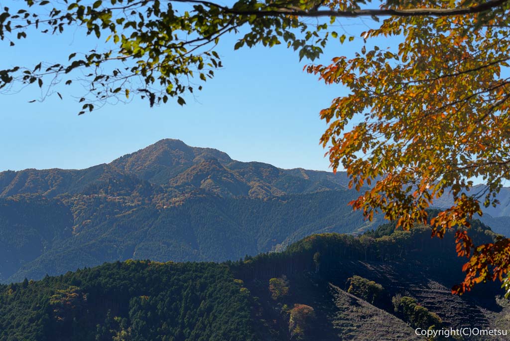 青梅市・高水山から、大岳山