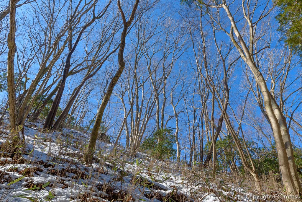 青梅市・御岳山〜日の出山の、雪の雑木林
