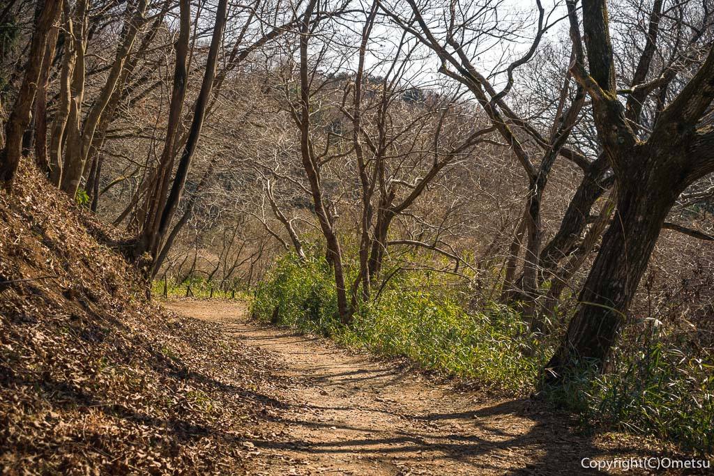 東京都・武蔵村山市の、都立・野川北・六道山公園の、山道