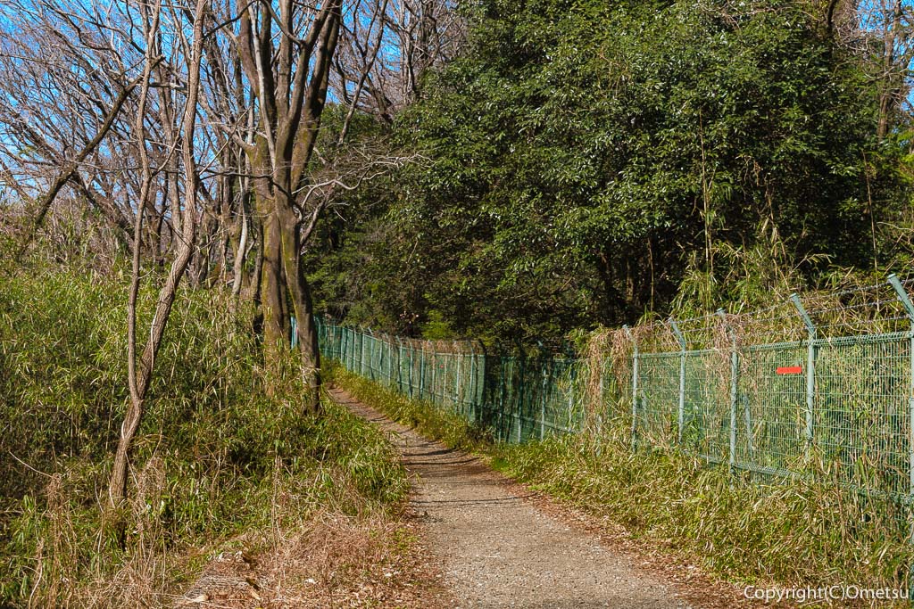 都立・野川北・六道山公園の、尾根道の雑木林