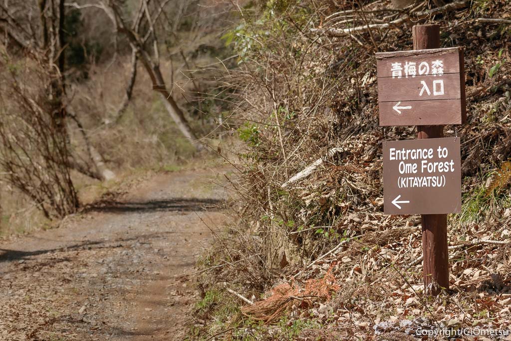 青梅市・青梅の森・入り口の、道標