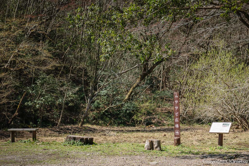 青梅市・青梅の森・ムササビ広場