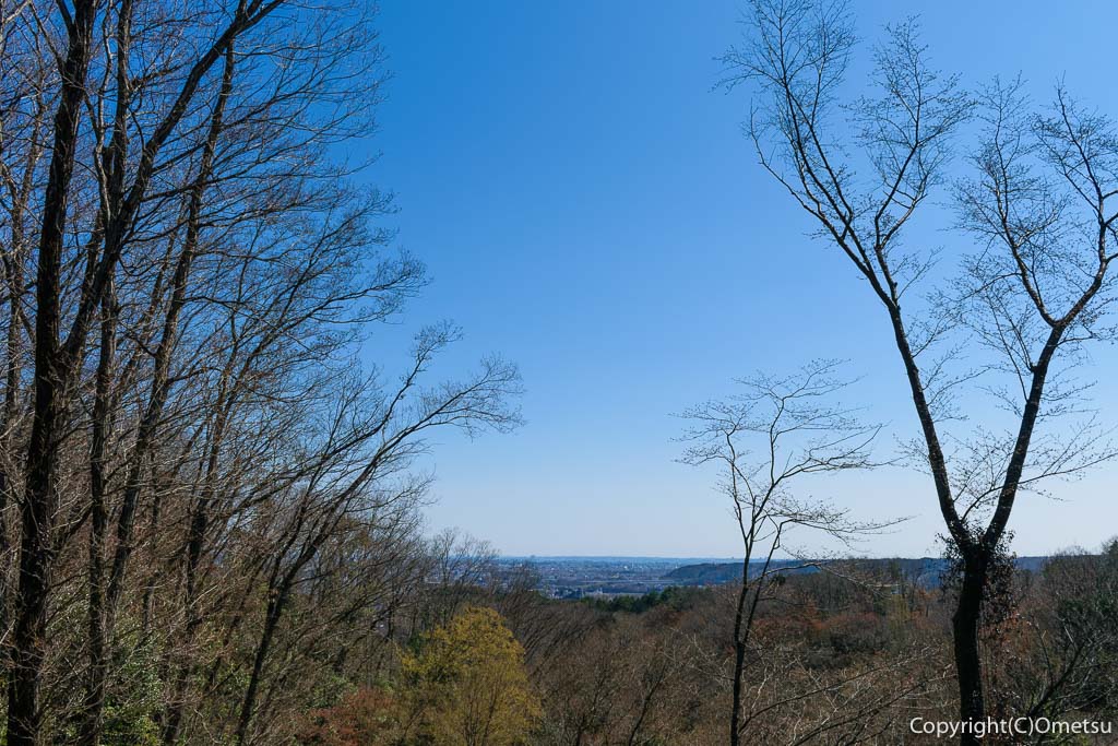 青梅市・青梅の森・マツボックリ山展望台からの、都心方面