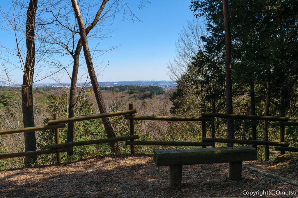 青梅市・青梅の森・リスの展望台