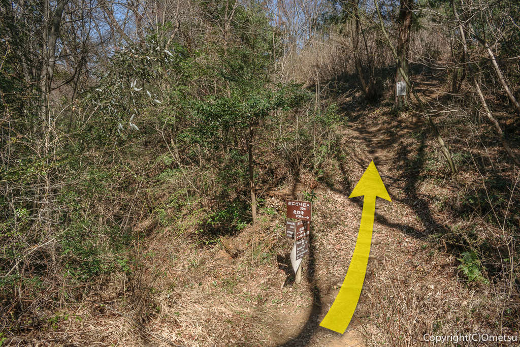 青梅市・青梅の森・おにぎり岩・分岐