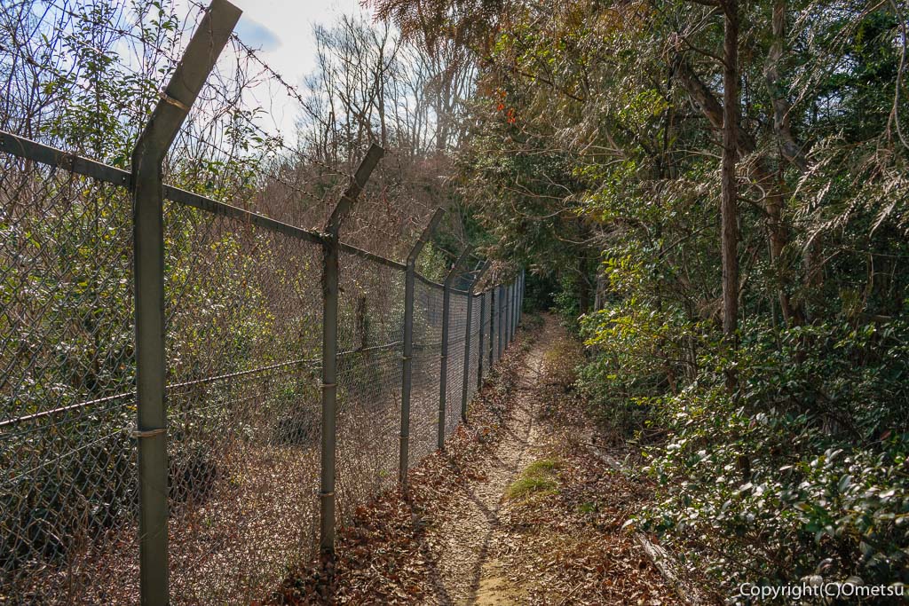 青梅市・友田の雑木林の、稜線フェンス沿いの登山道