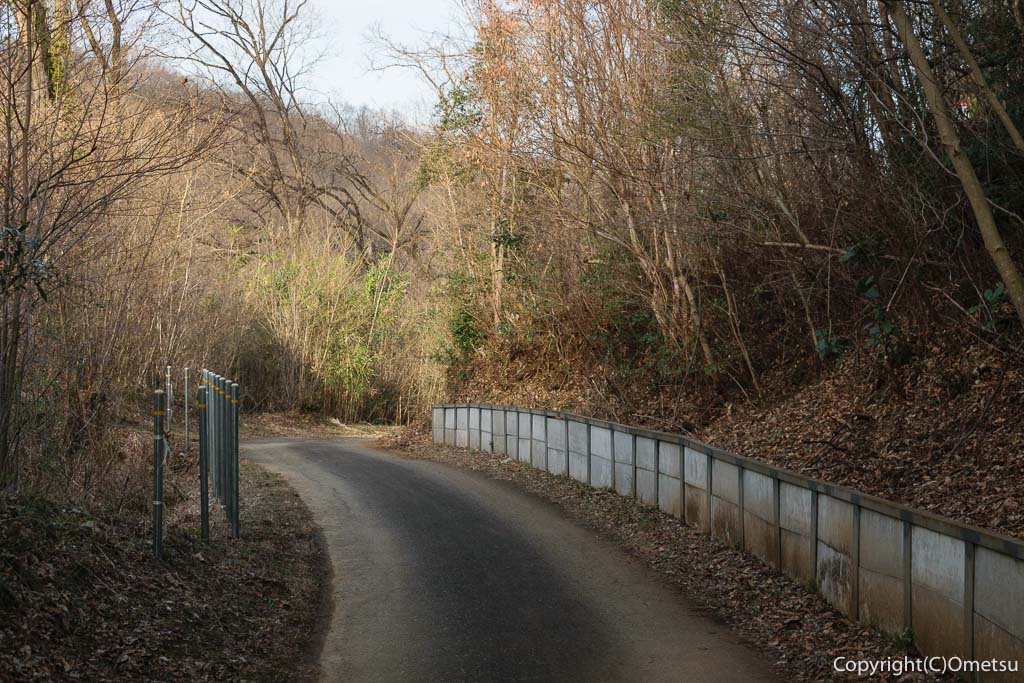 青梅市・友田、大荷田川沿いの林道
