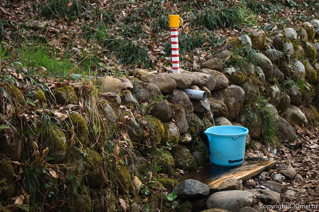 青梅市・大荷田川沿いの、湧き水