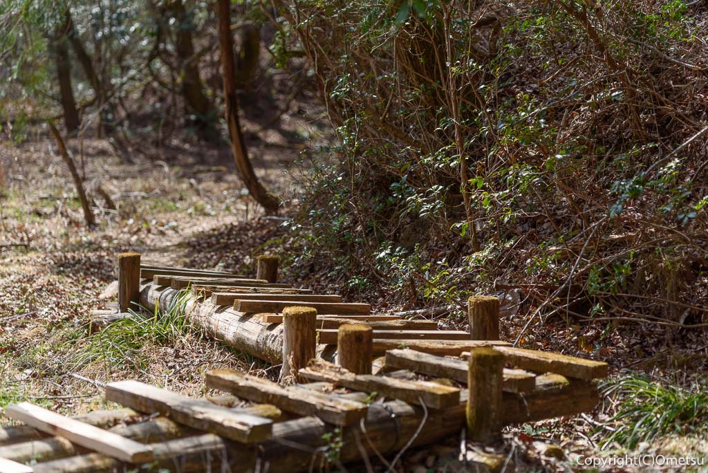 青梅市・青梅の森・ムササビ広場の、木道