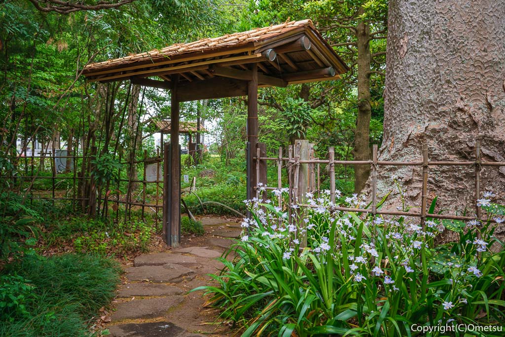 東京都・瑞穂町の、耕心館の庭園