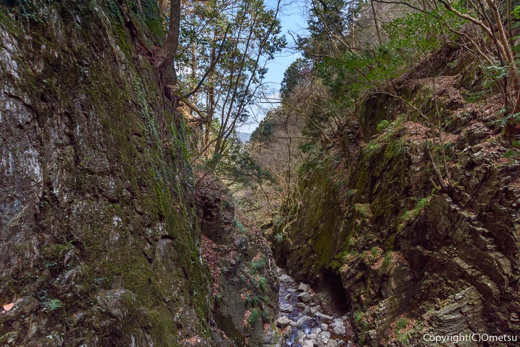 埼玉県・飯能市・棒ノ折山の白谷沢登山道の、ゴルジェ