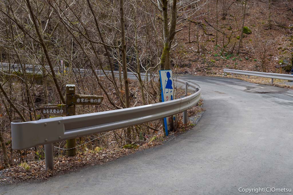埼玉県・飯能市・棒ノ折山の白谷沢の、林道