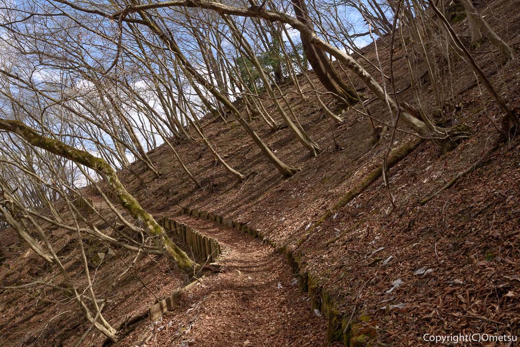 埼玉県・飯能市・棒ノ折山の白谷沢登山道の、トラバース道