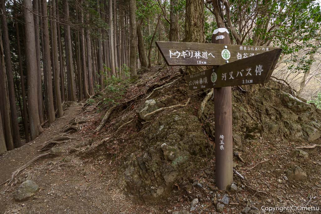 埼玉県・飯能市・棒ノ折山の白谷沢登山道の、岩茸石の道標