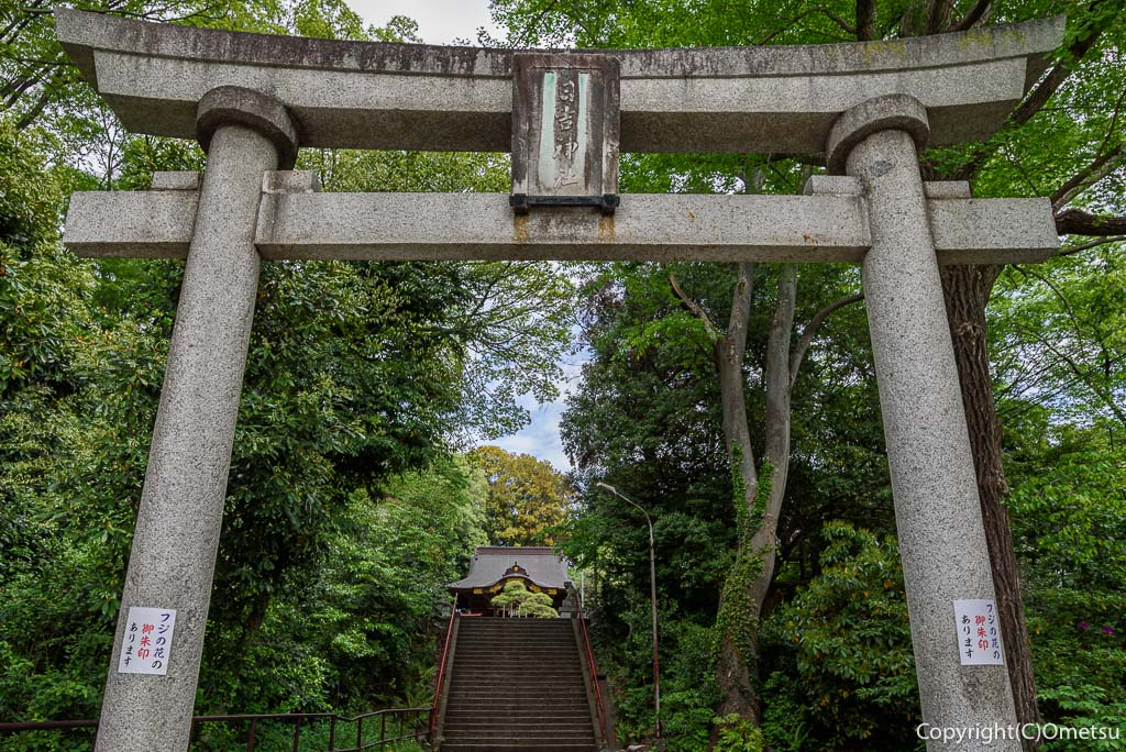 昭島市・拝島日吉神社の鳥居と、参道
