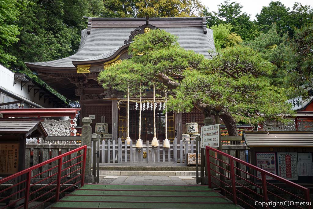 昭島市・拝島日吉神社の、本殿
