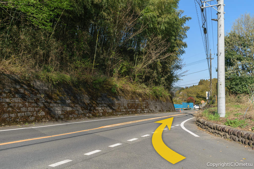 青梅市・成木の、日影林通り