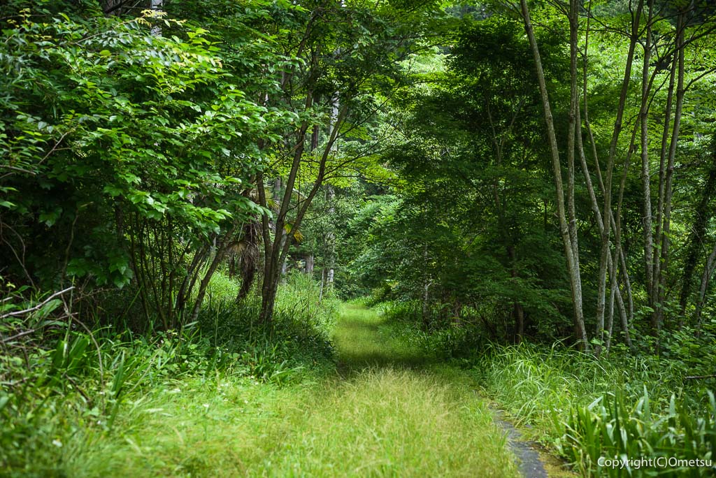 青梅丘陵・名郷峠・登山口