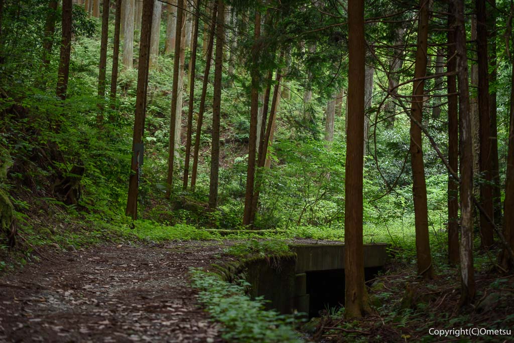 二俣尾〜名郷峠の登山道