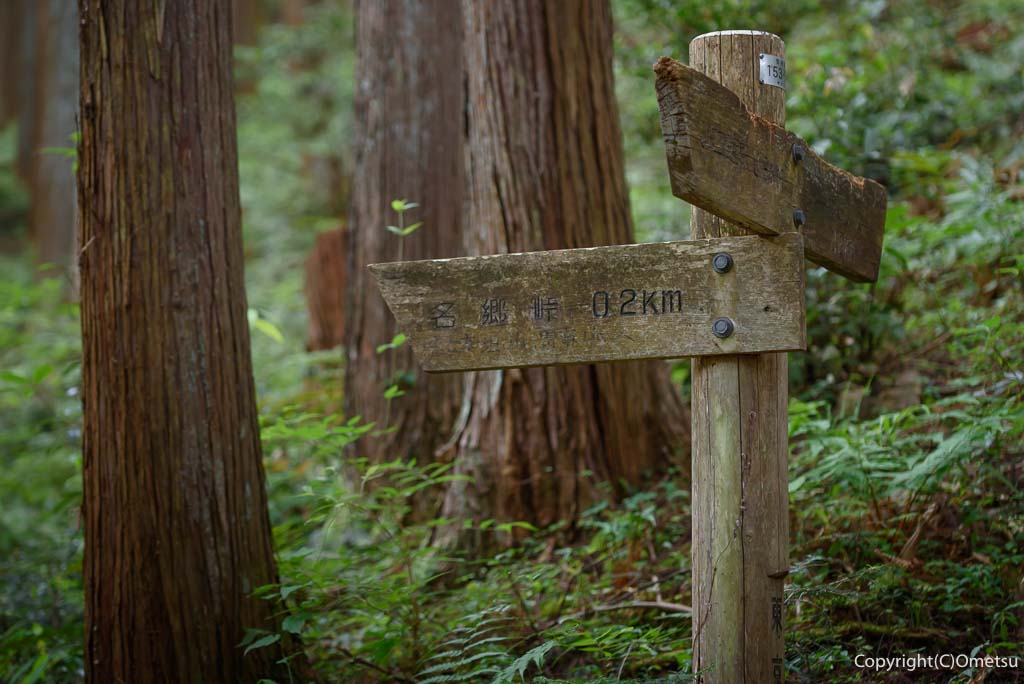 二俣尾〜名郷峠・登山道の分岐の道標