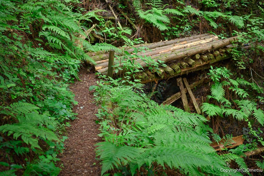 二俣尾〜名郷峠・登山道の木橋