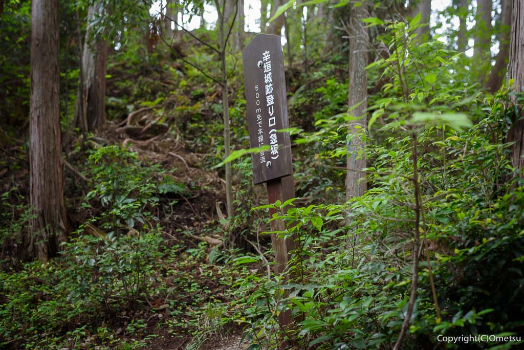 青梅丘陵・辛垣城・登り口